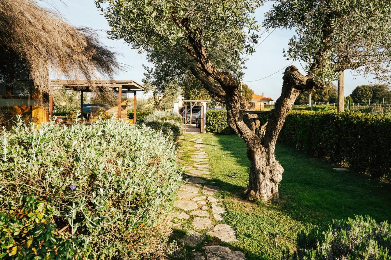 Agriturismo Sweet Cottage Marina di Grosseto Eksteriør billede